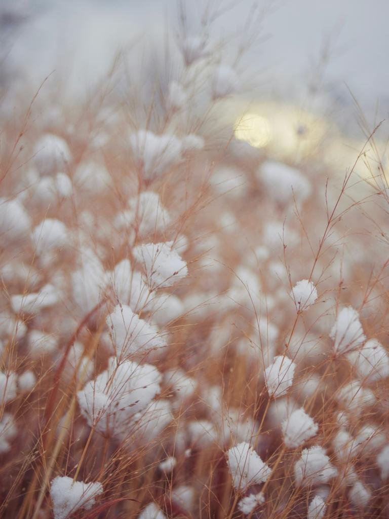 Wallpaper - Rudi Kartadiredja